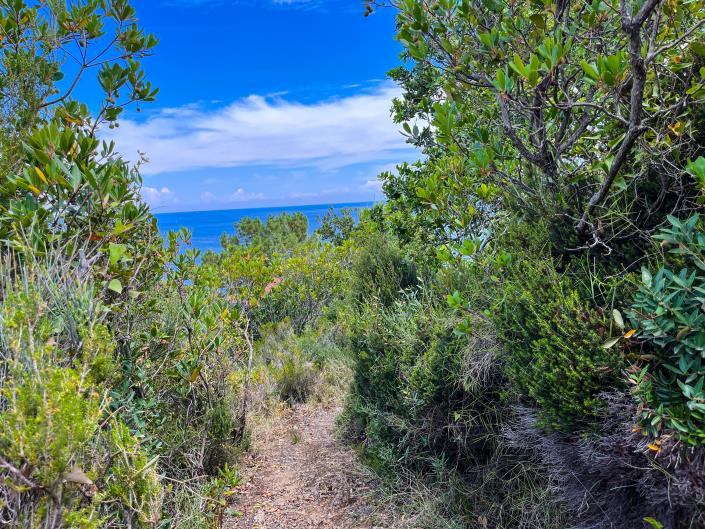 Image No.25-6 Bed Villa / Detached for sale