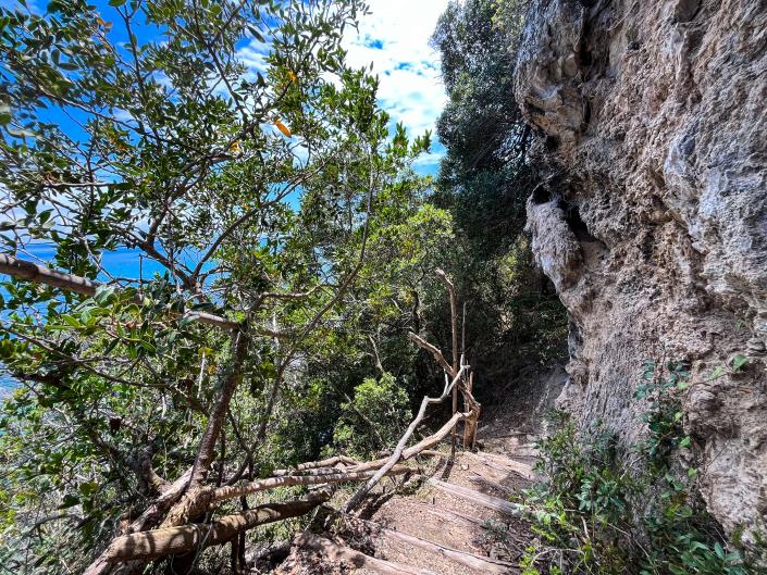 Image No.27-6 Bed Villa / Detached for sale