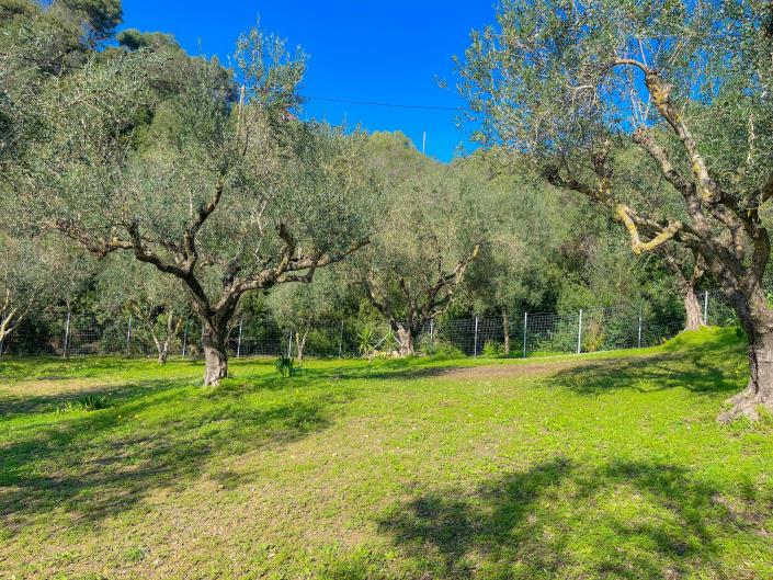 Image No.5-2 Bed Villa / Detached for sale