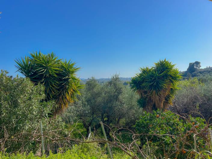 Image No.22-2 Bed House for sale