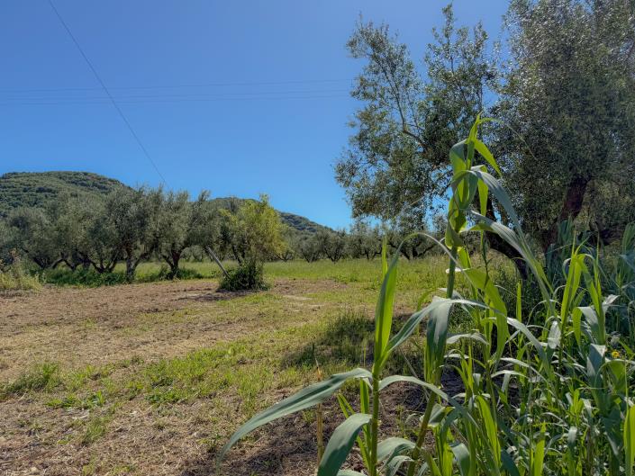 Image No.26-3 Bed House for sale