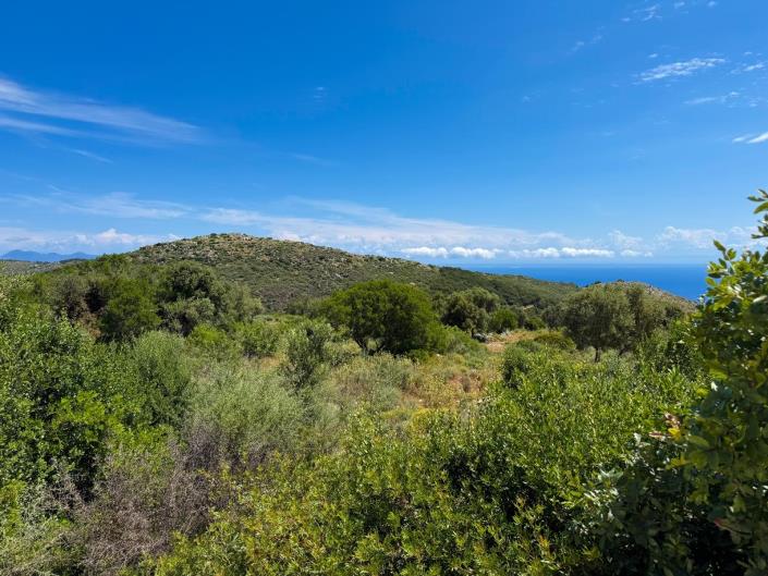 Image No.1-Land for sale