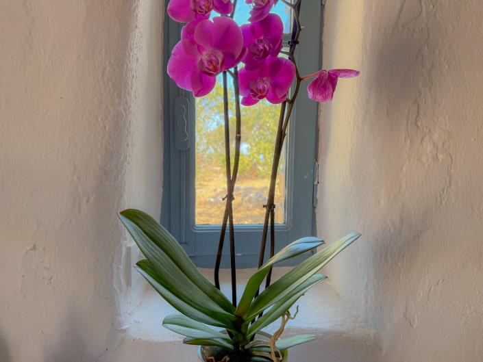 Image No.11-Maison / Villa de 8 chambres à vendre à Zante