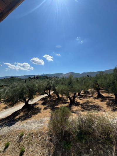 Image No.40-4 Bed House/Villa for sale