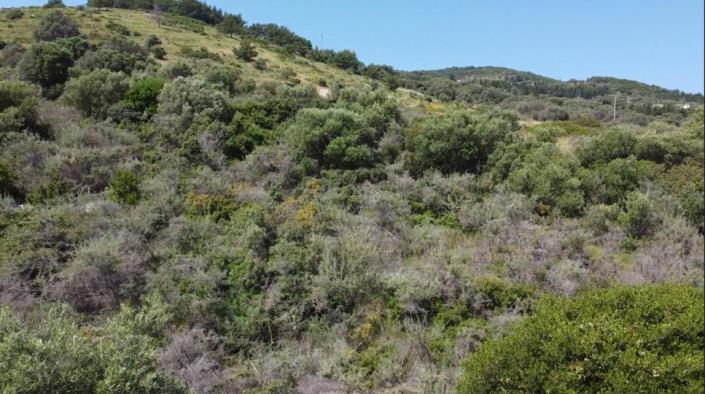 Image No.3-Land for sale