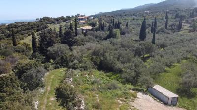 Terre à vendre à Zante