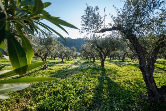 Image No.27-2 Bed Villa for sale