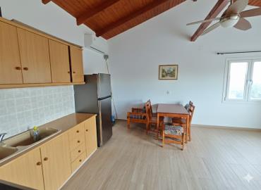 536293e3-f673-4118-9d12-51bfa789a33c