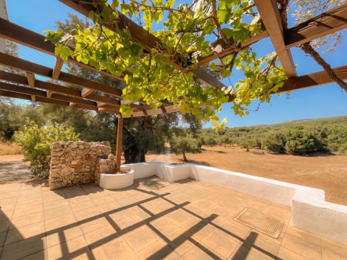 Image No.21-5 Bed Villa for sale