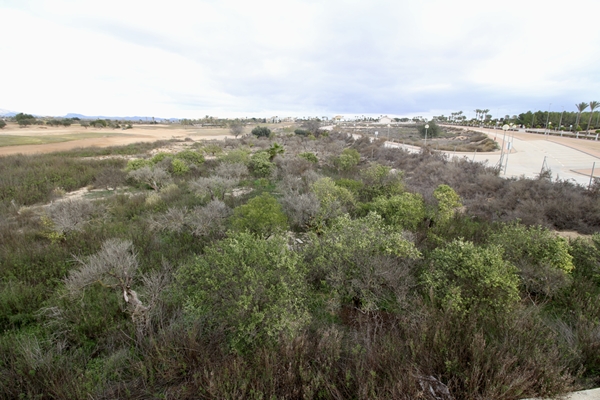 Image No.2-Land for sale