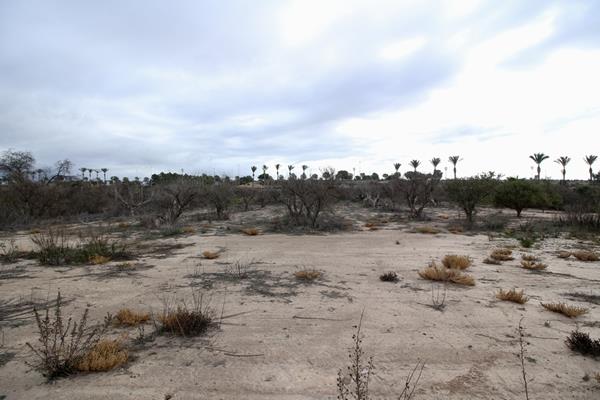 Image No.7-Land for sale