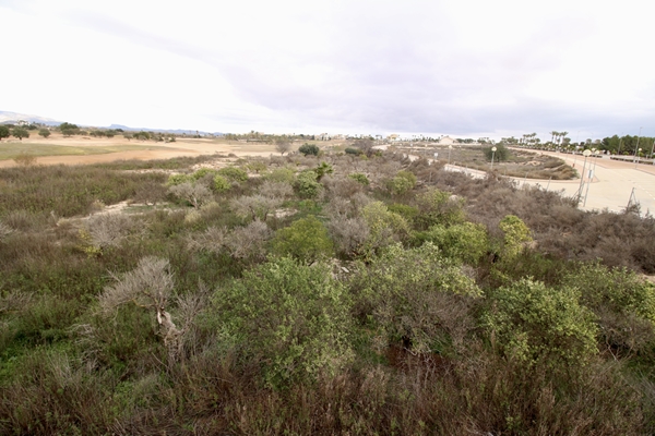 Image No.11-Plot for sale