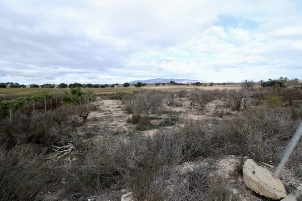 Image No.5-Land for sale