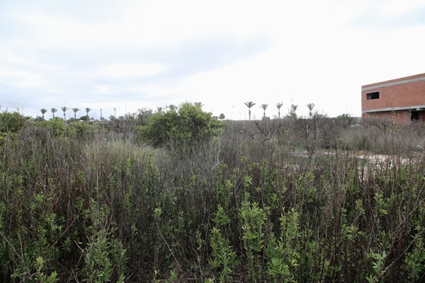 Image No.9-Land for sale