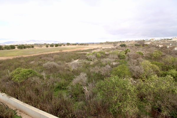 Image No.9-Plot for sale