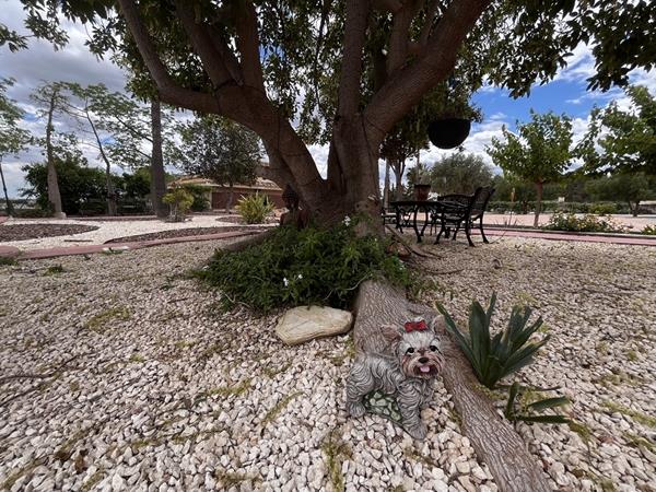 Image No.10-3 Bed Country House for sale