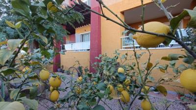 6B-HDA-Grecia-15-BJ-B--106-