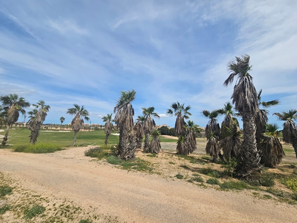 Image No.2-Land for sale