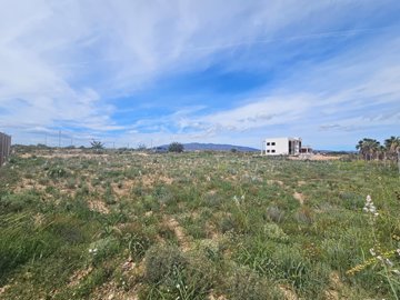 mimagen-de-whatsapp-2025-04-17-a-las-145246a3