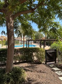 mimagen-de-whatsapp-2025-09-18-a-las-12343480