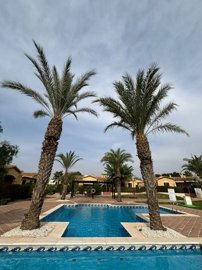 mimagen-de-whatsapp-2025-09-18-a-las-12341539