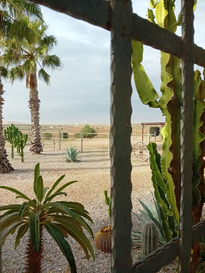 Image No.7-6 Bed Villa for sale
