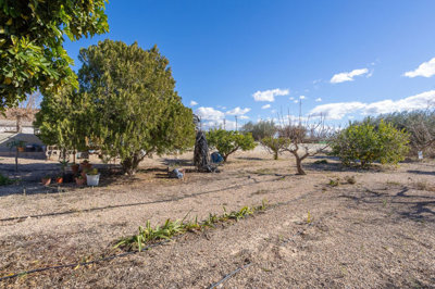 8-e64a9055bba3e77ac8aca3b893cdf826-80