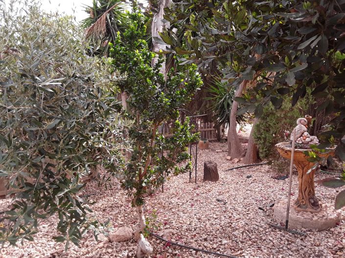 Image No.4-3 Bed Villa for sale