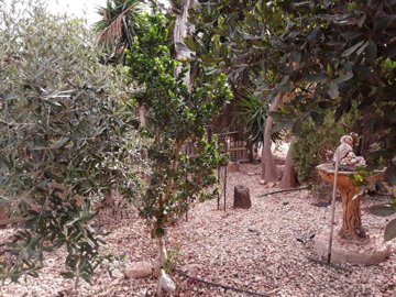 whatsapp-image-2024-10-09-at-131830-1-1