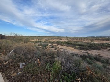 mwhatsapp-image-2026-01-28-at-215708-3