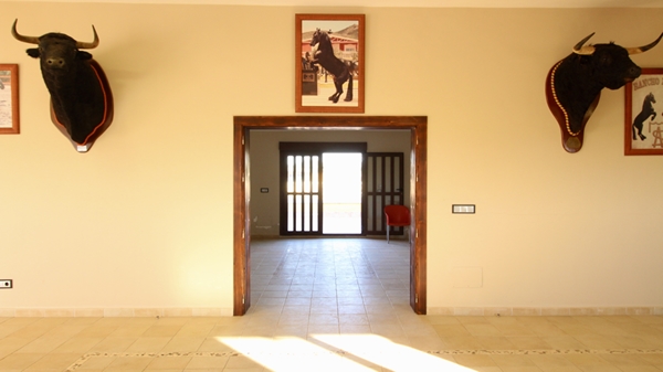 Image No.51-Villa de 8 chambres à vendre à Fuente Álamo