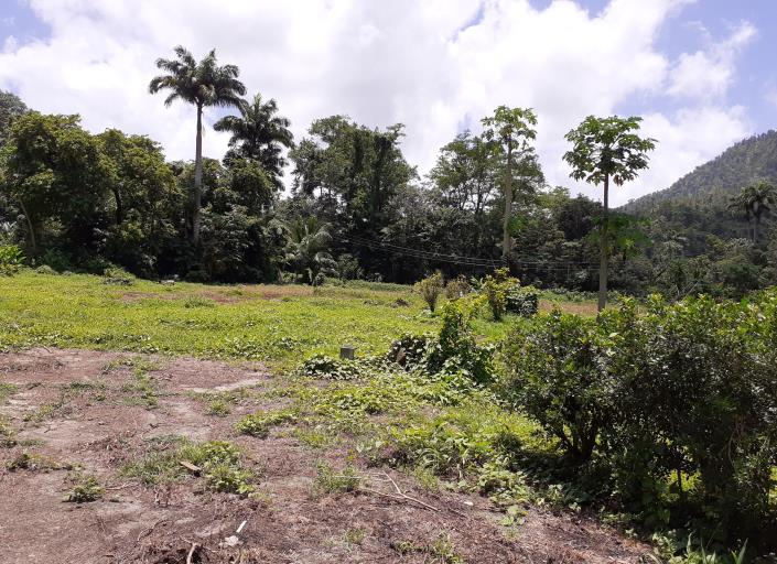 Image No.6-5 Bed Commercial for sale