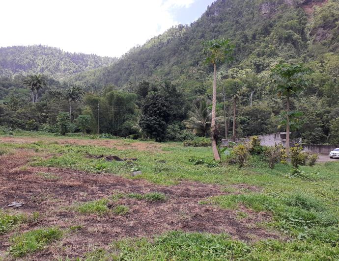 Image No.7-5 Bed Commercial for sale