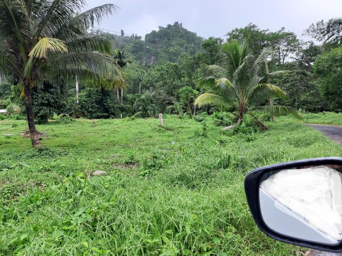 Image No.10-5 Bed Commercial for sale