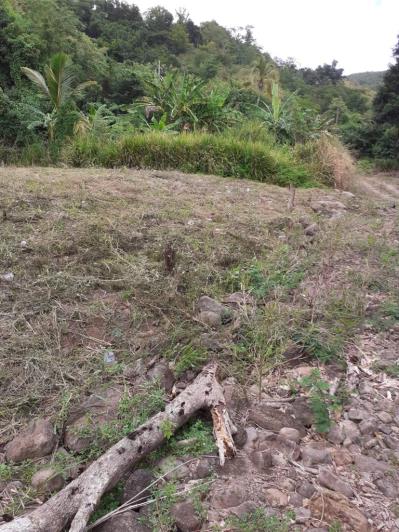 Image No.5-Land for sale