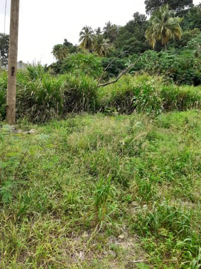 Image No.6-Land for sale