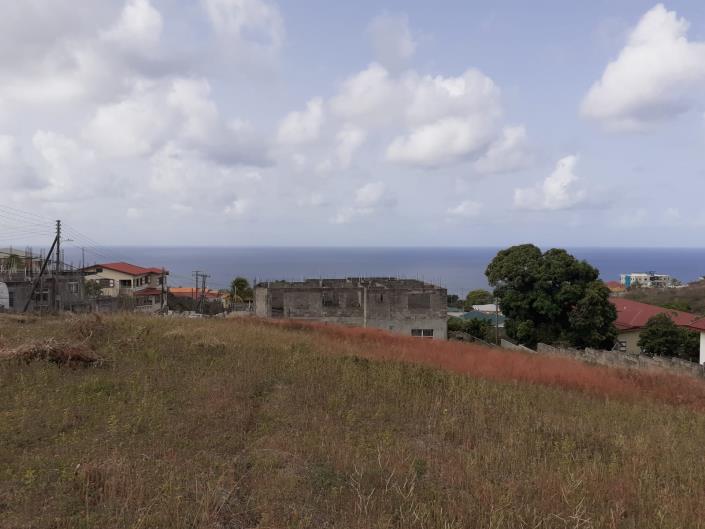 Image No.1-Terre à vendre à Basseterre