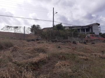 IMG-20220610-WA0007