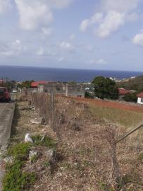 IMG-20220610-WA0003