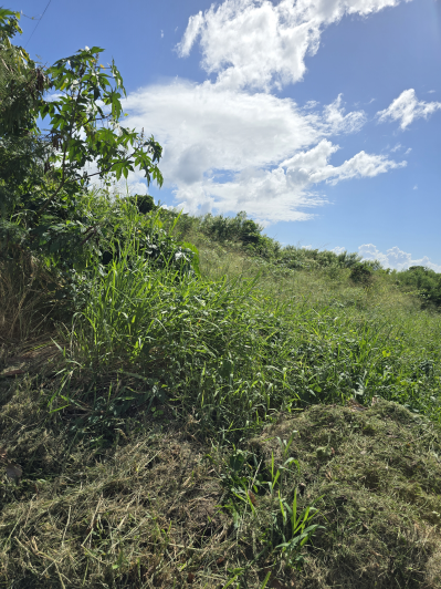 Image No.2-Land for sale