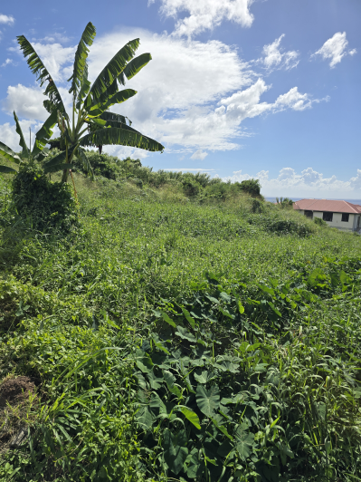 Image No.3-Land for sale