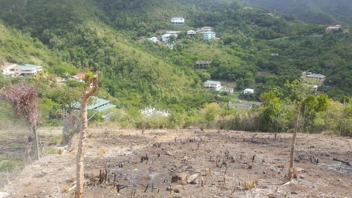 Image No.5-Land for sale