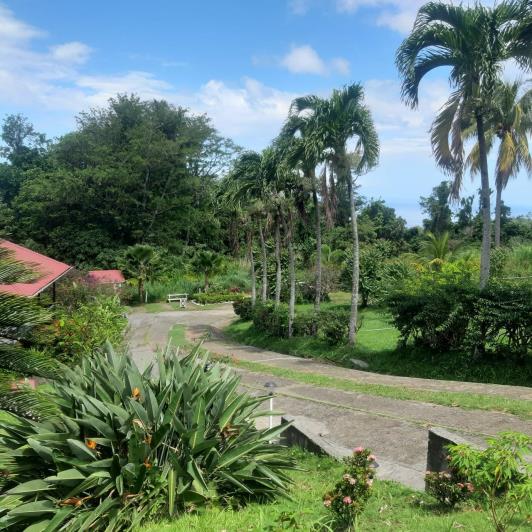 Image No.10-7 Bed Cottage for sale