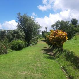 IMG-20210813-WA0039