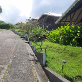 IMG-20210813-WA0048