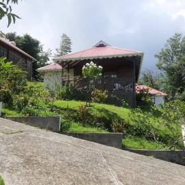 IMG-20210813-WA0050