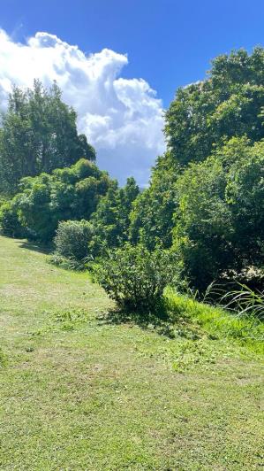 Image No.31-7 Bed Cottage for sale