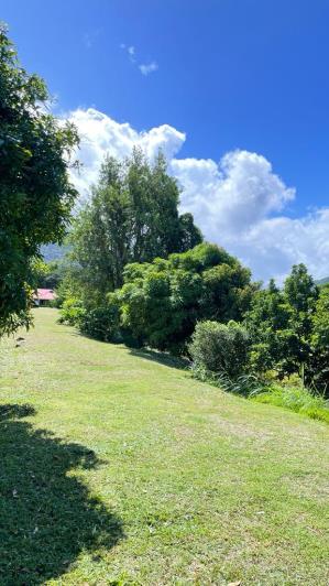 Image No.33-7 Bed Cottage for sale