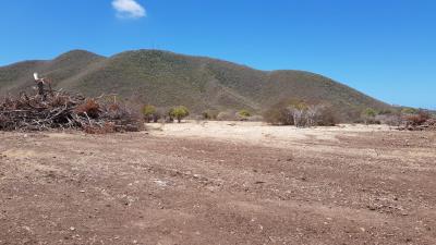 IMG-20210728-WA0019