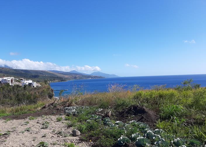 Property for sale in Dominica 14 properties A Place in the Sun